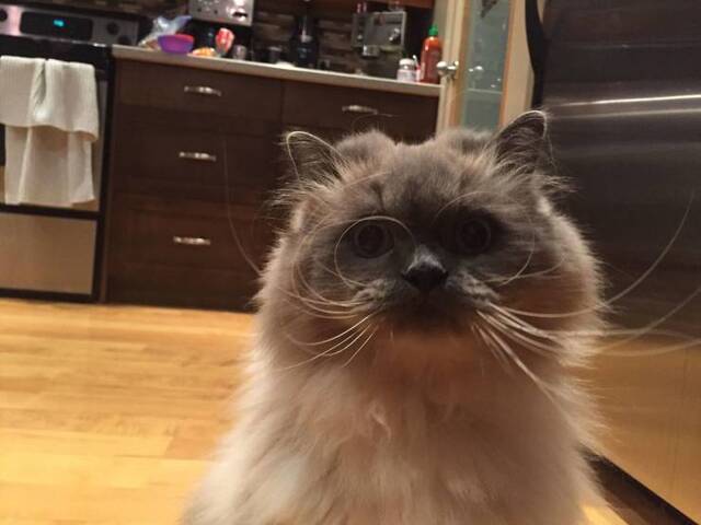 Bildschirmarbeiter - Picdump 10.05.2019