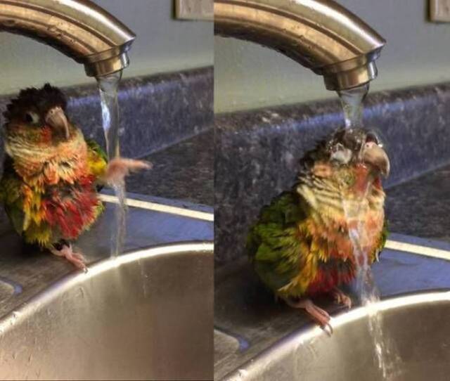 Bildschirmarbeiter - Picdump 10.05.2019