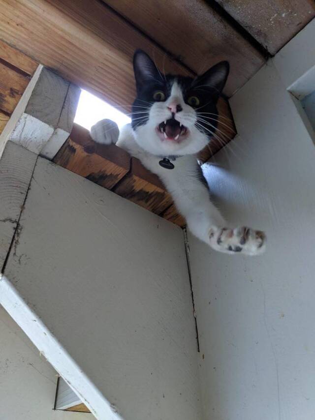 Bildschirmarbeiter - Picdump 10.05.2019