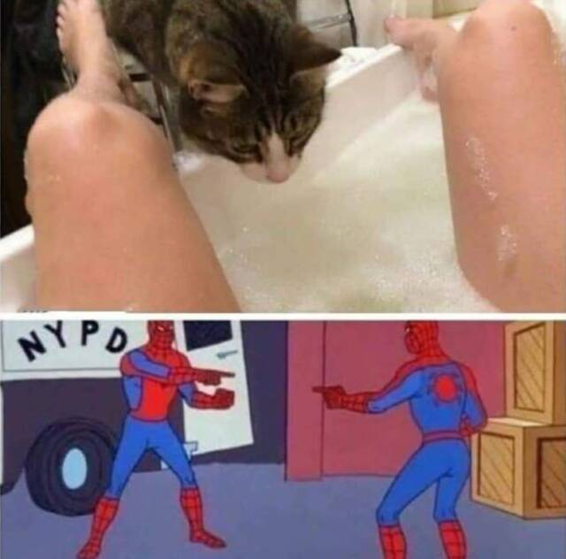 Bildschirmarbeiter - Picdump 10.05.2019