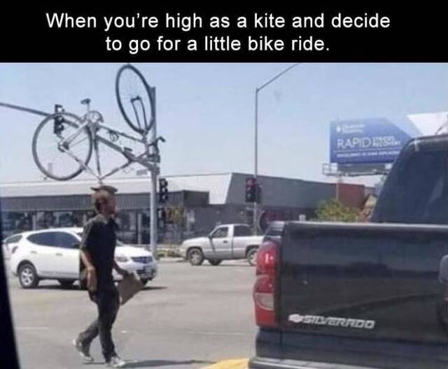 Bildschirmarbeiter - Picdump 10.05.2019