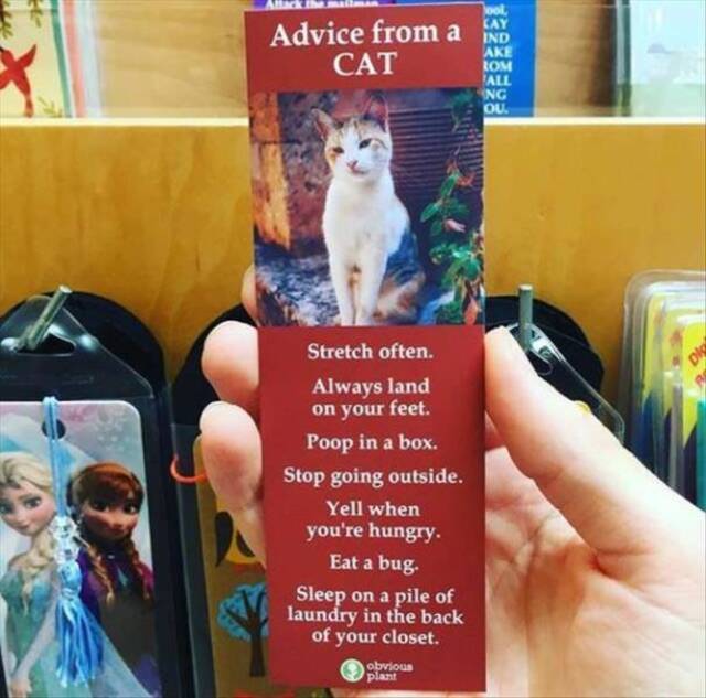 Bildschirmarbeiter - Picdump 10.05.2019