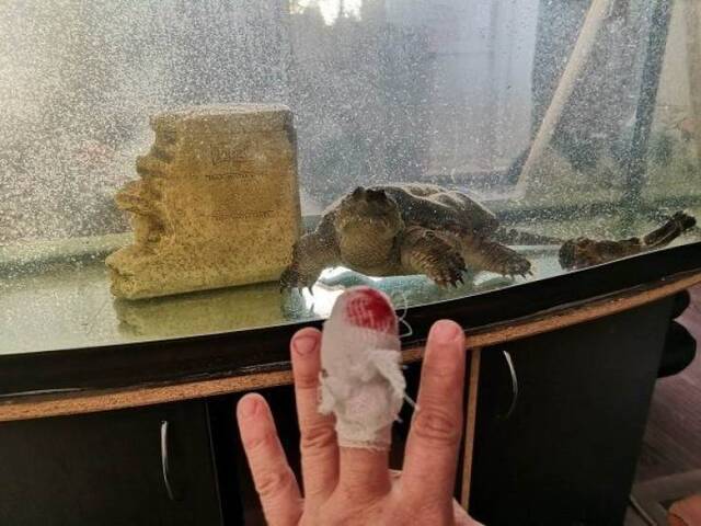 Bildschirmarbeiter - Picdump 10.05.2019