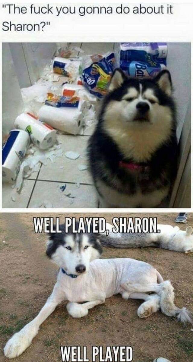 Bildschirmarbeiter - Picdump 10.05.2019