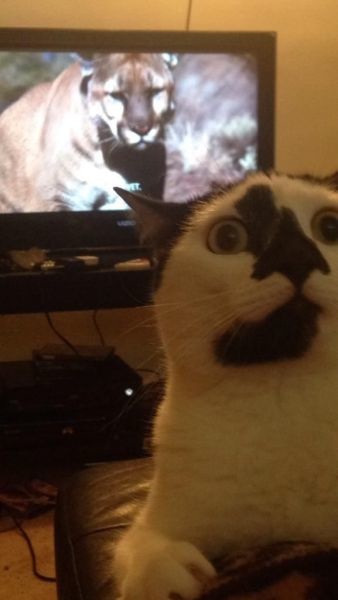 Bildschirmarbeiter - Picdump 15.05.2015