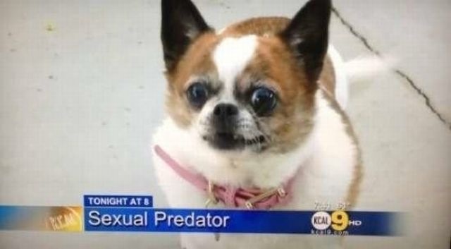 Bildschirmarbeiter - Picdump 15.05.2015