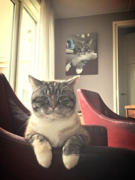 Bildschirmarbeiter - Picdump 15.05.2015