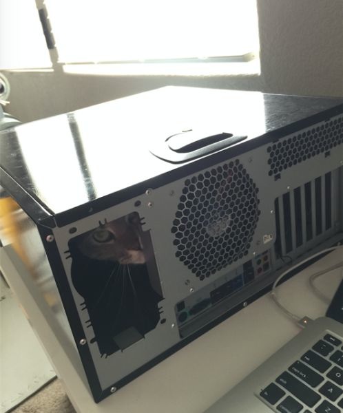 Bildschirmarbeiter - Picdump 15.05.2015