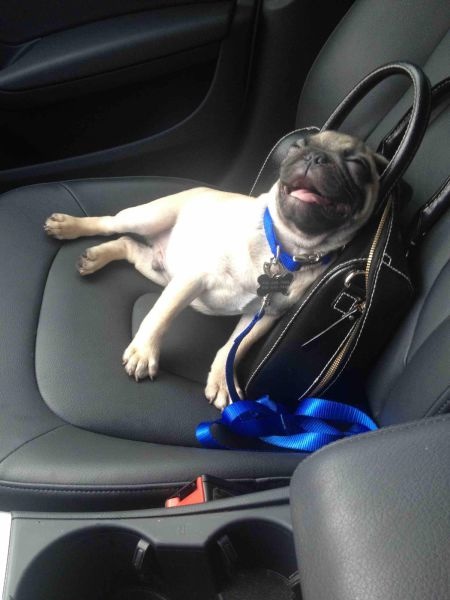 Bildschirmarbeiter - Picdump 15.05.2015