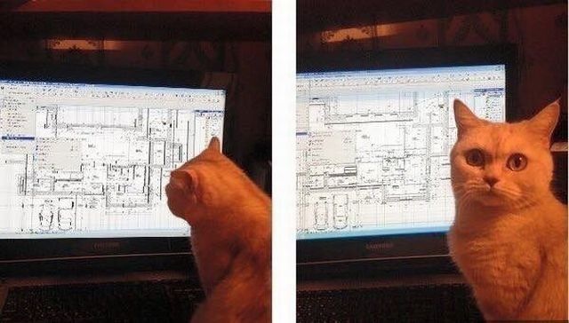 Bildschirmarbeiter - Picdump 15.05.2015