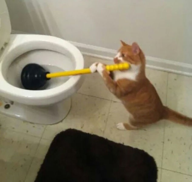 Bildschirmarbeiter - Picdump 15.05.2015