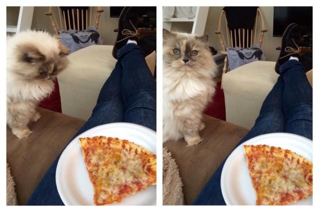 Bildschirmarbeiter - Picdump 15.05.2015