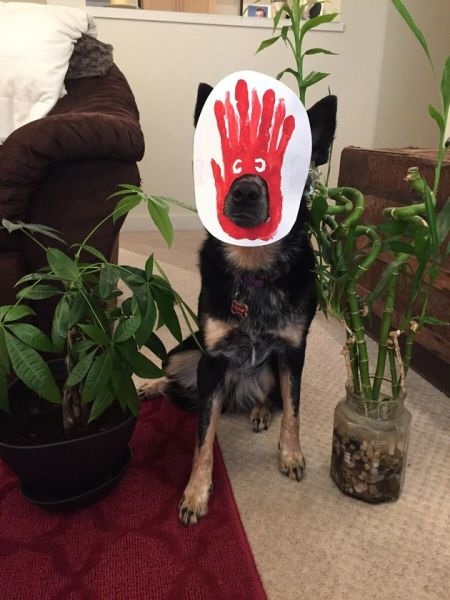 Bildschirmarbeiter - Picdump 15.05.2015