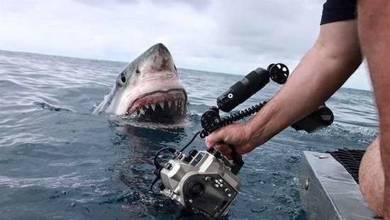 Bildschirmarbeiter - Picdump 15.05.2015