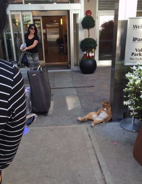 Bildschirmarbeiter - Picdump 15.05.2015