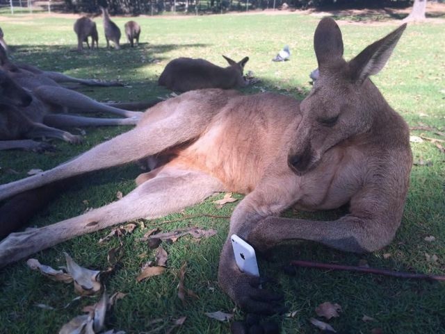 Bildschirmarbeiter - Picdump 15.05.2015