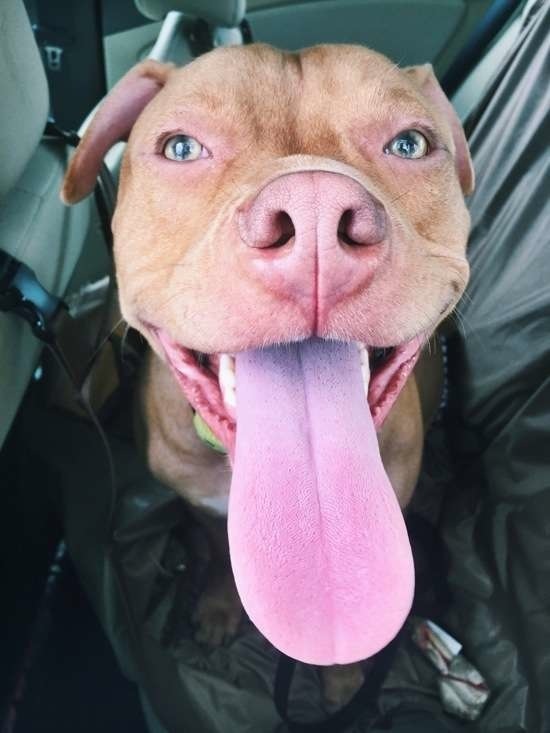 Bildschirmarbeiter - Picdump 15.05.2015