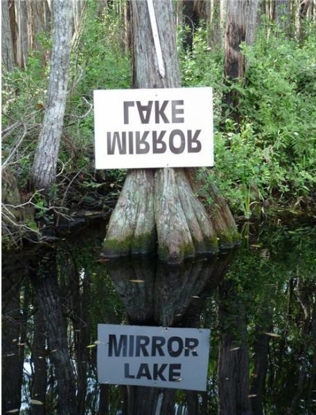 Bildschirmarbeiter - Picdump 15.05.2015