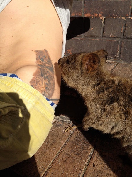 Bildschirmarbeiter - Picdump 15.05.2015