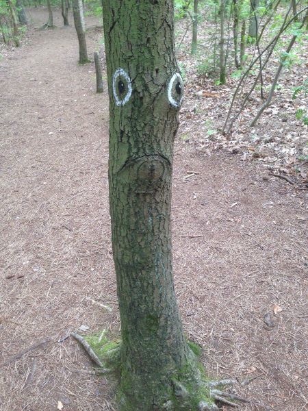 Bildschirmarbeiter - Picdump 15.05.2015