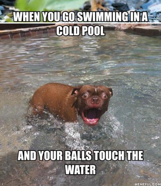 Bildschirmarbeiter - Picdump 15.05.2015