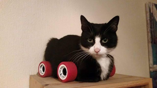 Bildschirmarbeiter - Picdump 22.05.2015