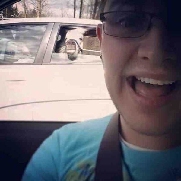 Bildschirmarbeiter - Picdump 22.05.2015