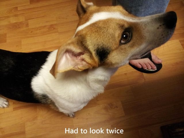 Bildschirmarbeiter - Picdump 22.05.2015