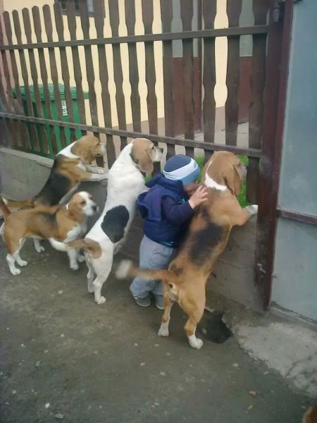 Bildschirmarbeiter - Picdump 22.05.2015