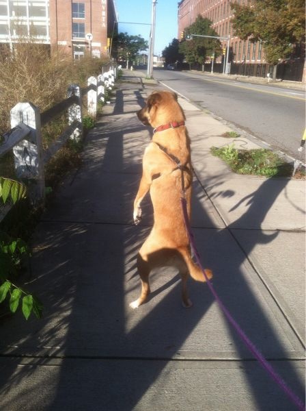 Bildschirmarbeiter - Picdump 22.05.2015