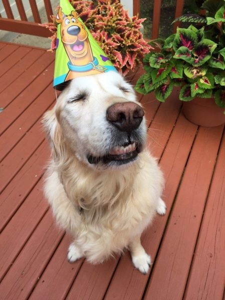 Bildschirmarbeiter - Picdump 22.05.2015