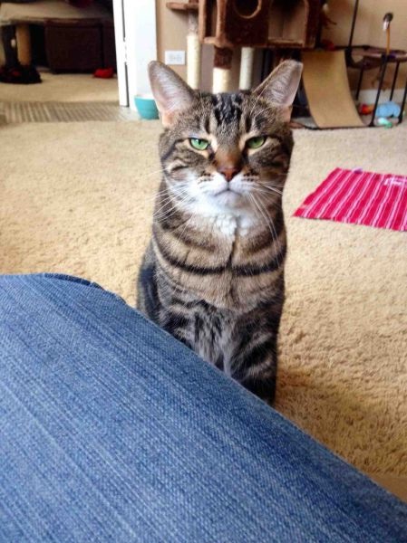 Bildschirmarbeiter - Picdump 22.05.2015