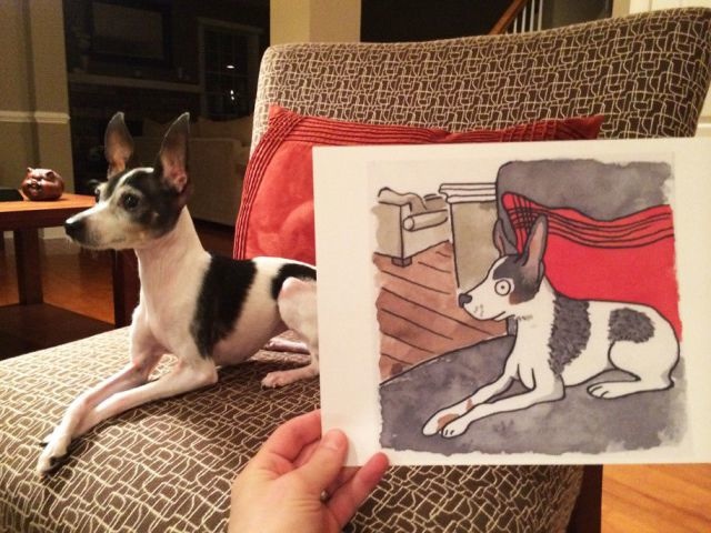 Bildschirmarbeiter - Picdump 22.05.2015