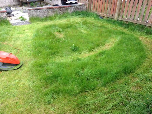 Bildschirmarbeiter - Picdump 22.05.2015