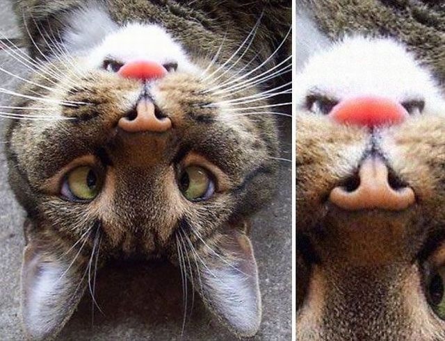 Bildschirmarbeiter - Picdump 22.05.2015