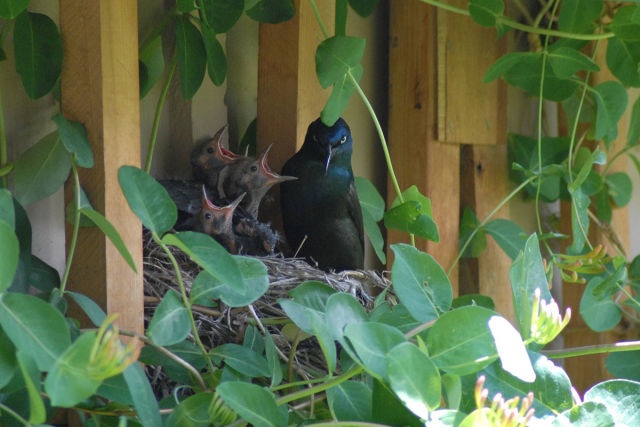 Bildschirmarbeiter - Picdump 22.05.2015