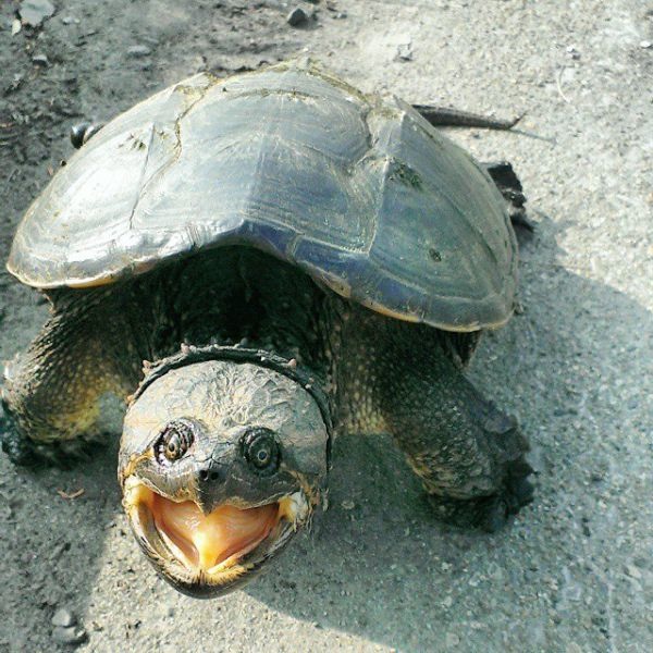 Bildschirmarbeiter - Picdump 22.05.2015