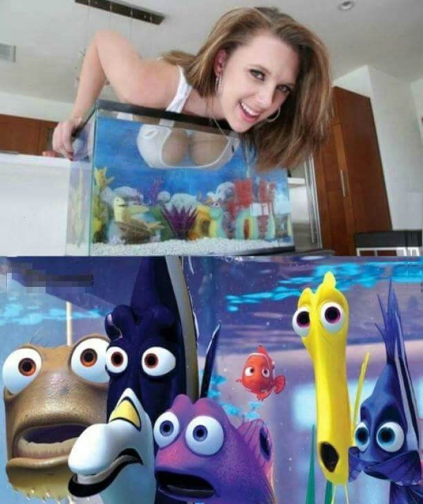 Bildschirmarbeiter - Picdump 22.05.2015