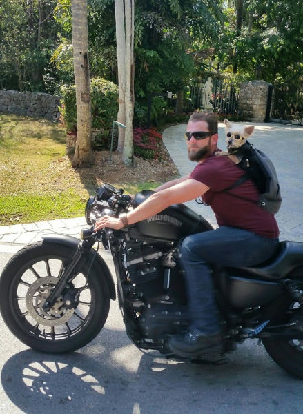 Bildschirmarbeiter - Picdump 22.05.2015