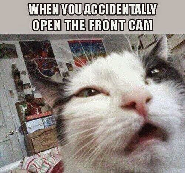 Bildschirmarbeiter - Picdump 22.05.2015