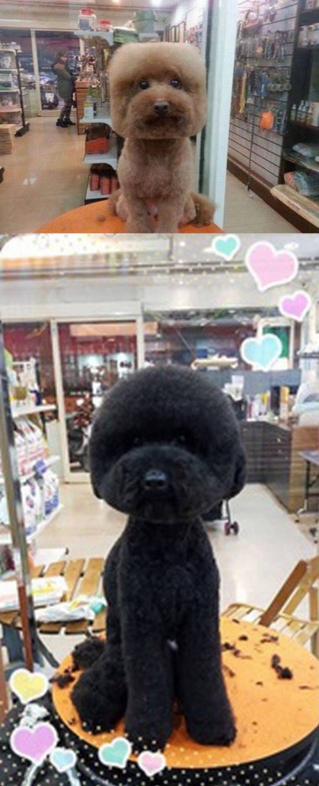 Bildschirmarbeiter - Picdump 22.05.2015