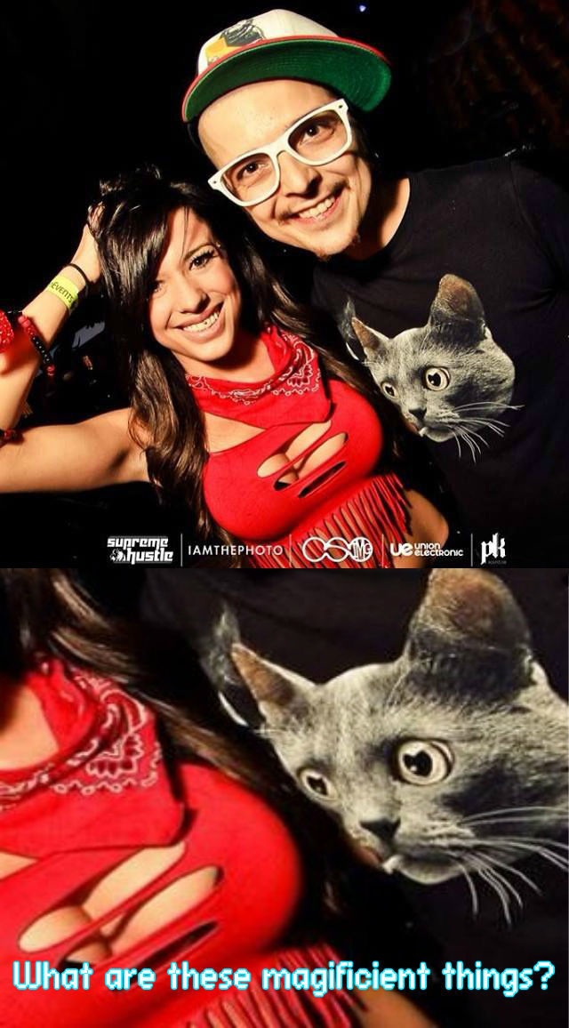 Bildschirmarbeiter - Picdump 22.05.2015