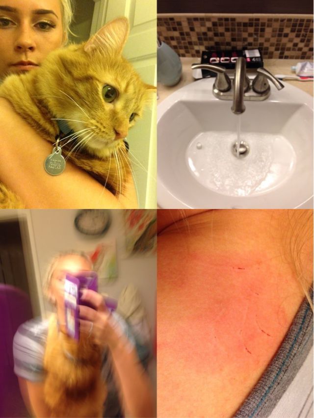 Bildschirmarbeiter - Picdump 29.05.2015