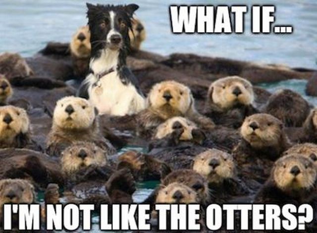 Bildschirmarbeiter - Picdump 29.05.2015