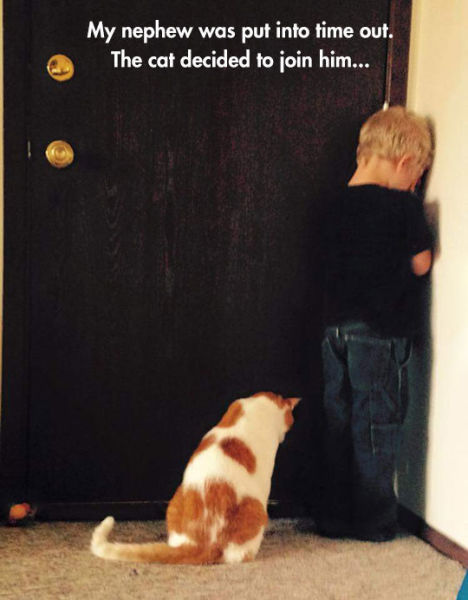 Bildschirmarbeiter - Picdump 29.05.2015