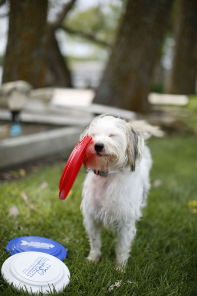 Bildschirmarbeiter - Picdump 29.05.2015