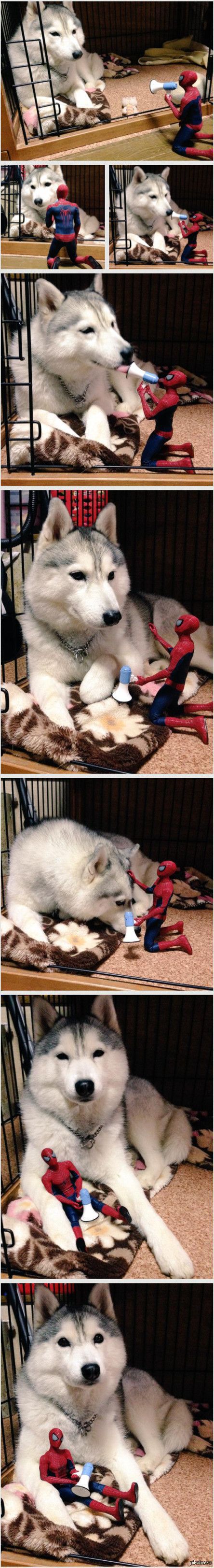 Bildschirmarbeiter - Picdump 05.06.2015