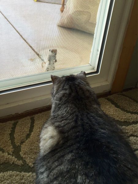 Bildschirmarbeiter - Picdump 05.06.2015