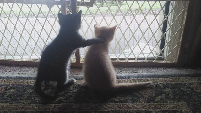 Bildschirmarbeiter - Picdump 05.06.2015