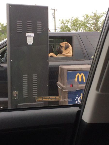 Bildschirmarbeiter - Picdump 05.06.2015